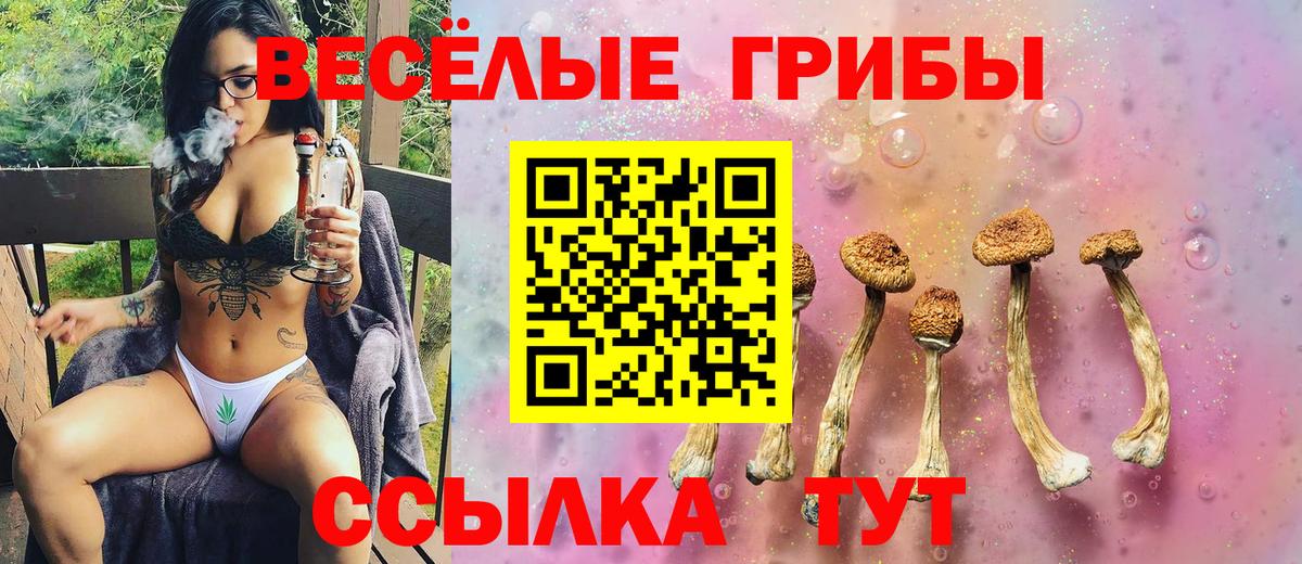 дарнет шоп  Псилоцибиновые грибы MAGIC MUSHROOMS  Вход с VPN  Лысьва 